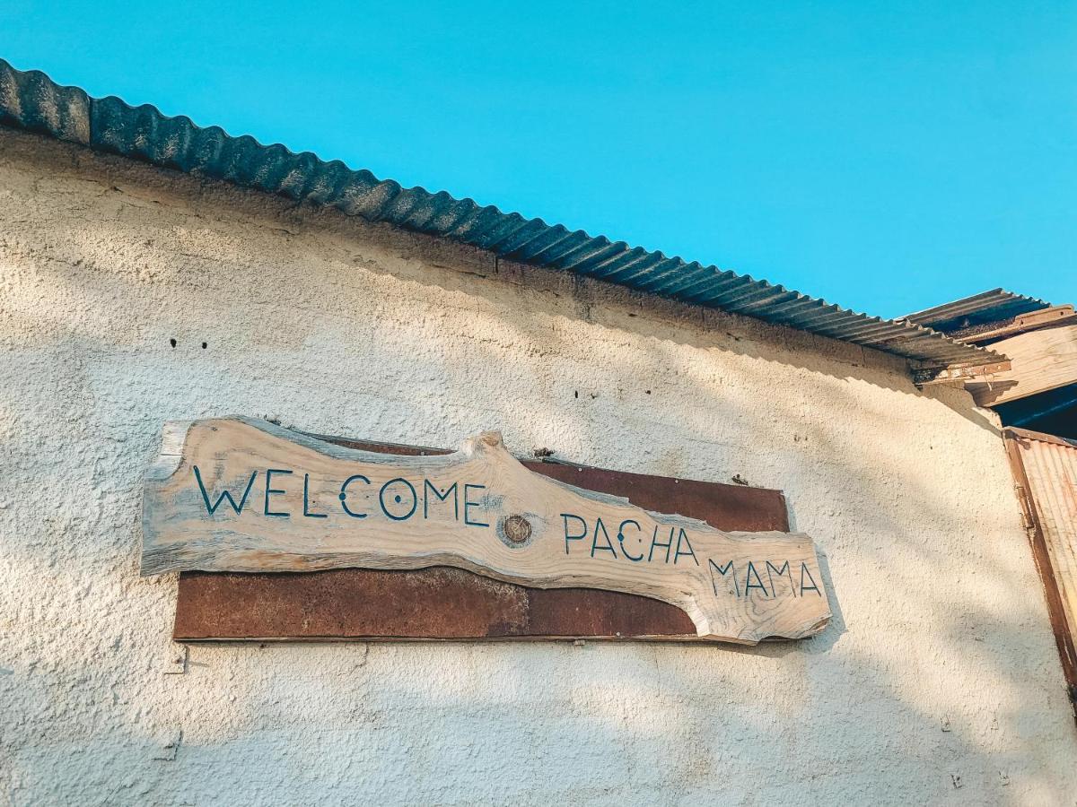Visit Pachamama Community Apartamento Alcácer do Sal Exterior foto